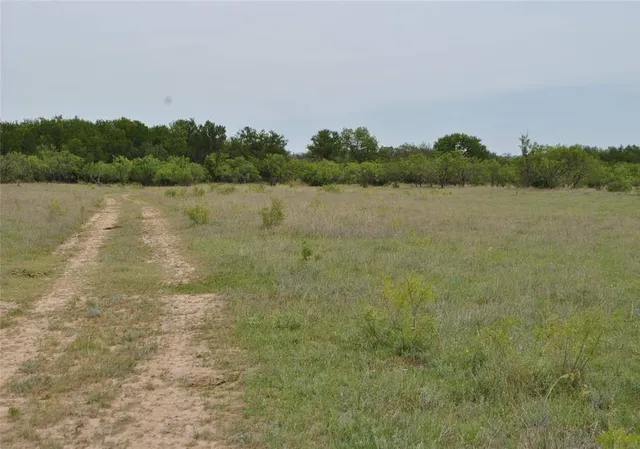$140,500 | Tbd Tbd Comanche Hills Drive, Arlington, TX 76011