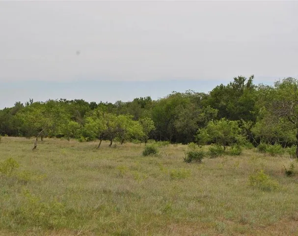 $140,500 | Tbd Tbd Comanche Hills Drive, Arlington, TX 76011