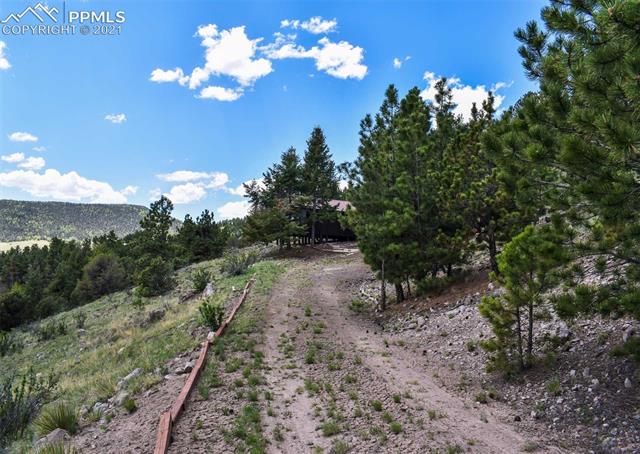 264 Jack Younce Road Guffey, CO 80820 - Photo 23 of 36 Gallery Image 23