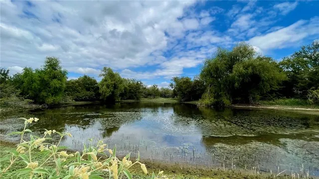a view of a lake view with a garden