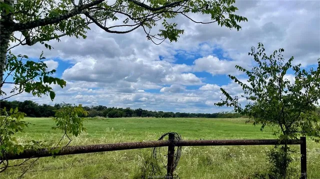 a view of yard with green space