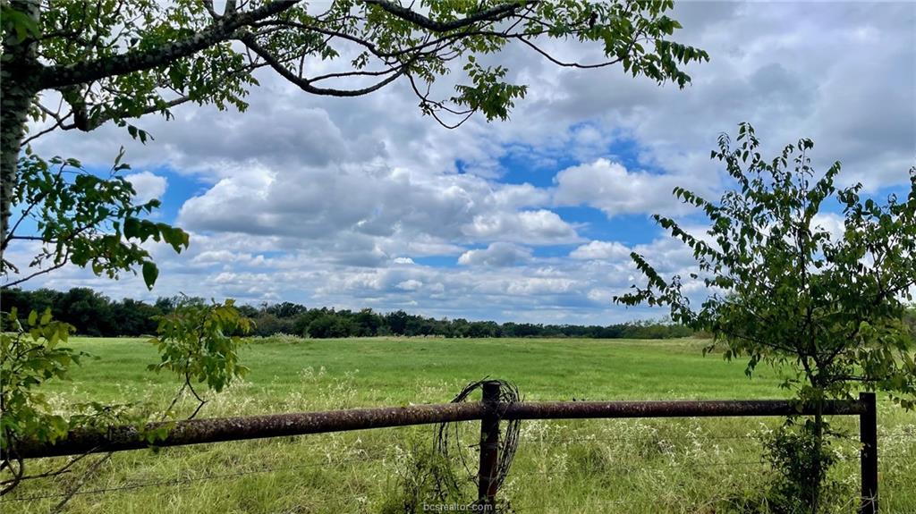 3871 Webb Cemetery Road Calvert, TX 77837 - Photo 13 of 19 a view of yard with green space