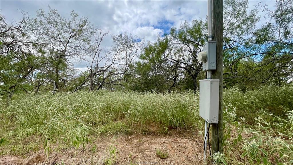 3871 Webb Cemetery Road Calvert, TX 77837 - Photo 15 of 19 a view of a yard with plants and trees