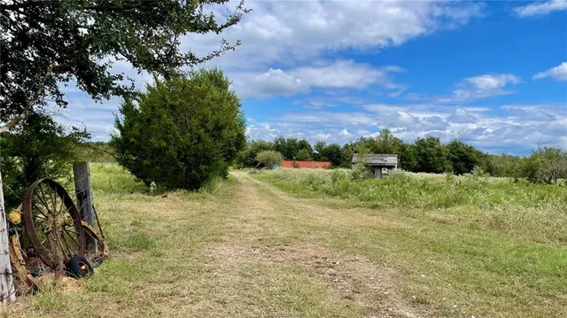 a view of a yard with plants and a tree