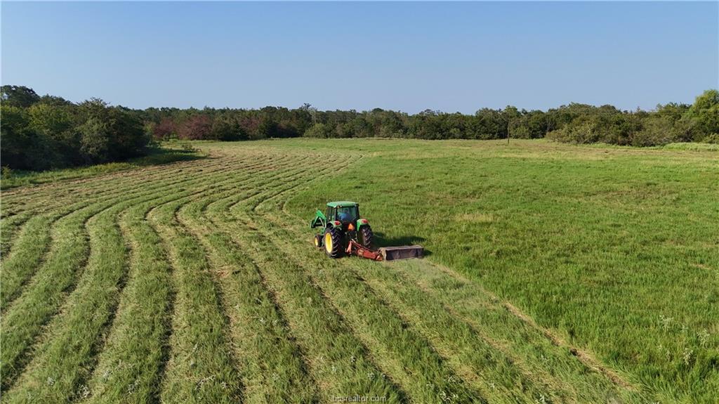 3871 Webb Cemetery Road Calvert, TX 77837 - Photo 7 of 19 a view of a lake with a mountain