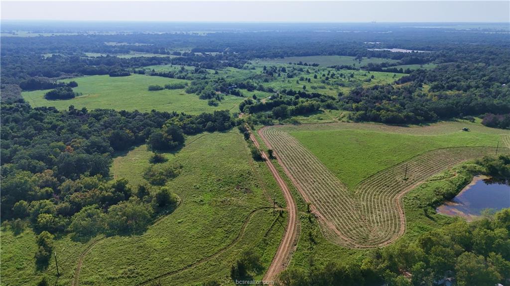 3871 Webb Cemetery Road Calvert, TX 77837 - Photo 8 of 19 a view of a lush green field
