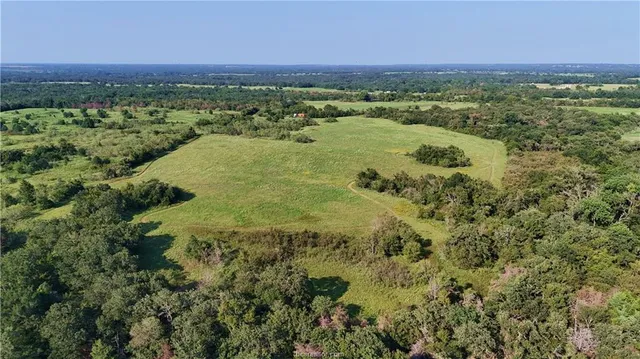 a view of a city with lush green forest