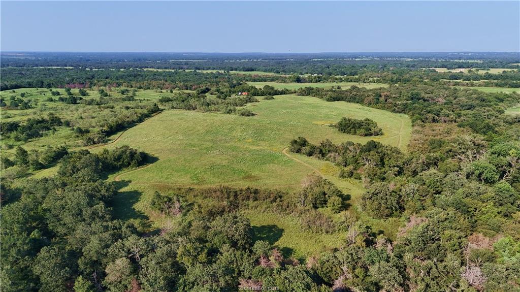 3871 Webb Cemetery Road Calvert, TX 77837 - Photo 9 of 19 a view of a city with lush green forest