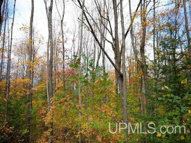 5800 Wolf Lake Road Watersmeet, MI 49969 - Photo 64 of 86