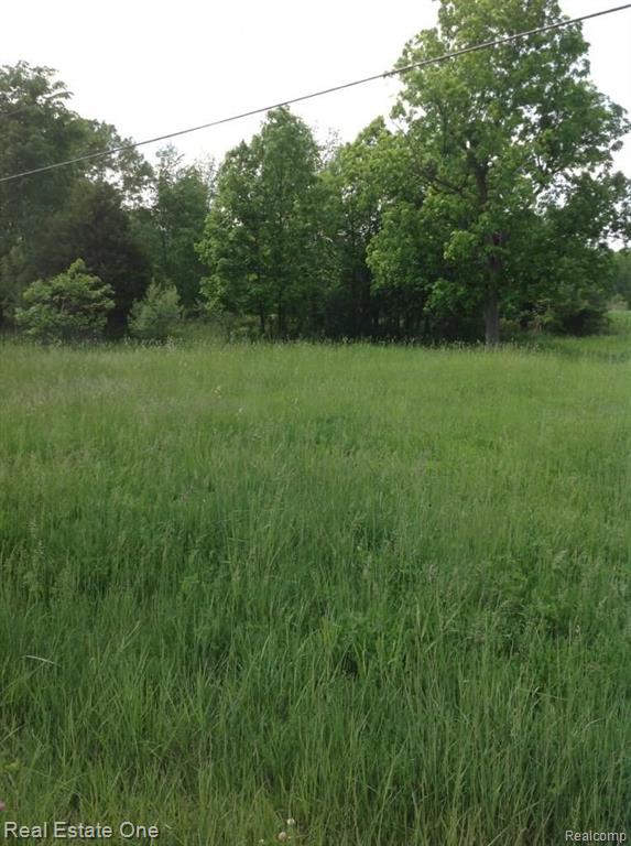 Parcel 4 B Fisher Road Howell, MI 48855 - Photo 3 of 4