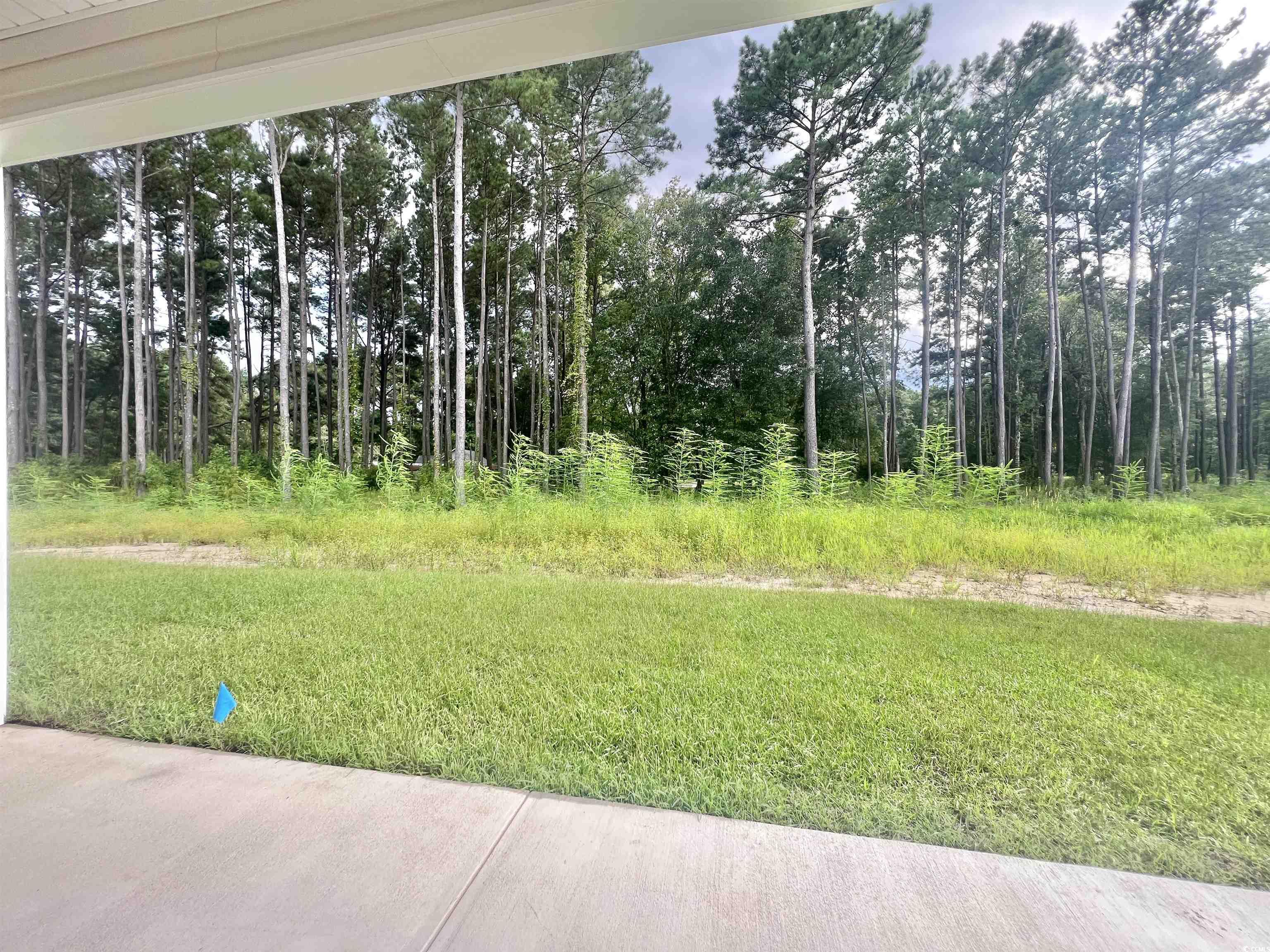 5288 Old Forest Drive Loris, SC 29569 - Photo 23 of 23