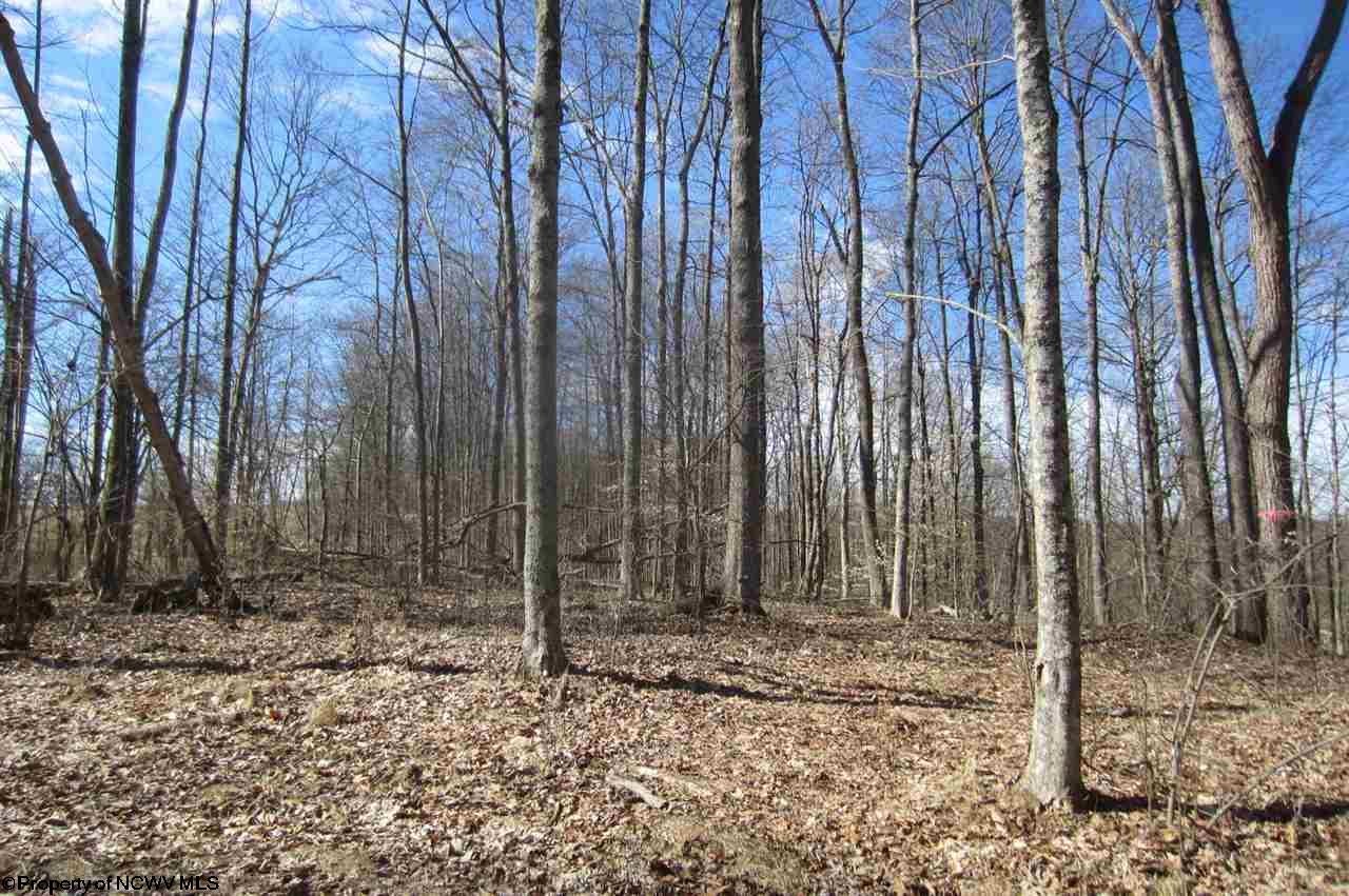 Tbd Sandy Holw Road Bridgeport, WV 26330 - Photo 14 of 20 Gallery Image 14