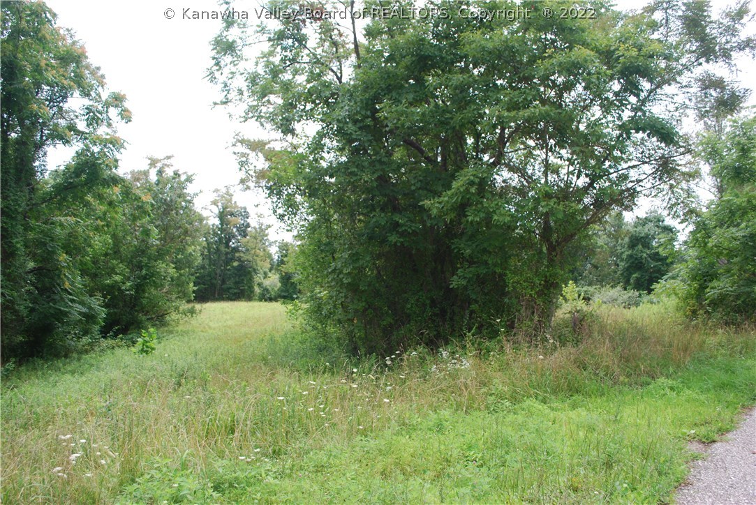 1620 Holmes Road Ashton, WV 25503 - Photo 3 of 17 Gallery Image 3