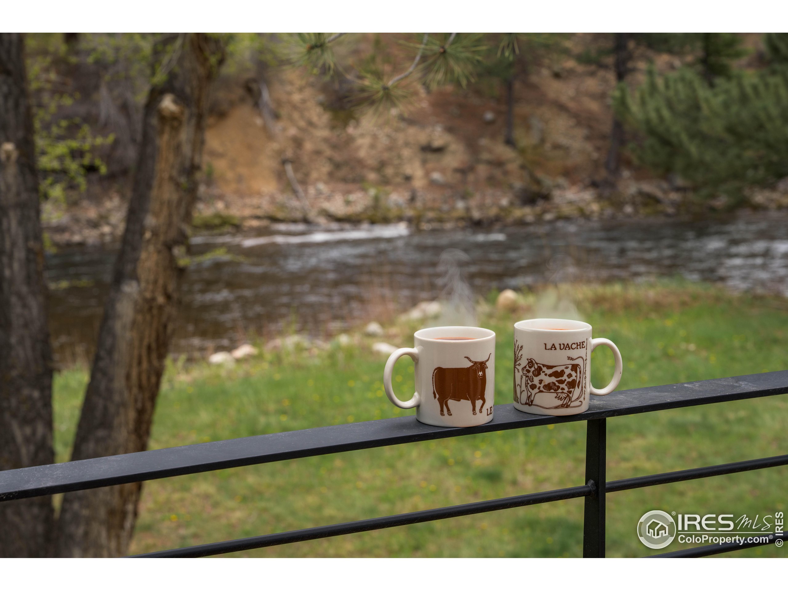 37797 W Highway Bellvue, CO 80512 - Photo 22 of 40 a view of electric racks