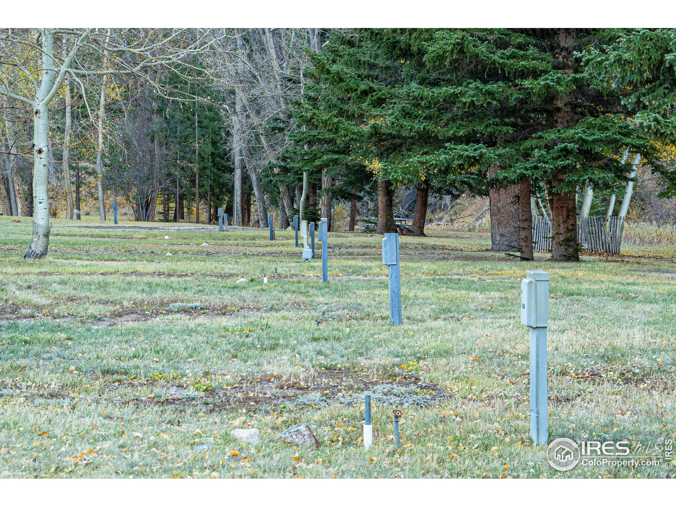 37797 W Highway Bellvue, CO 80512 - Photo 37 of 40 a view of a park with large trees
