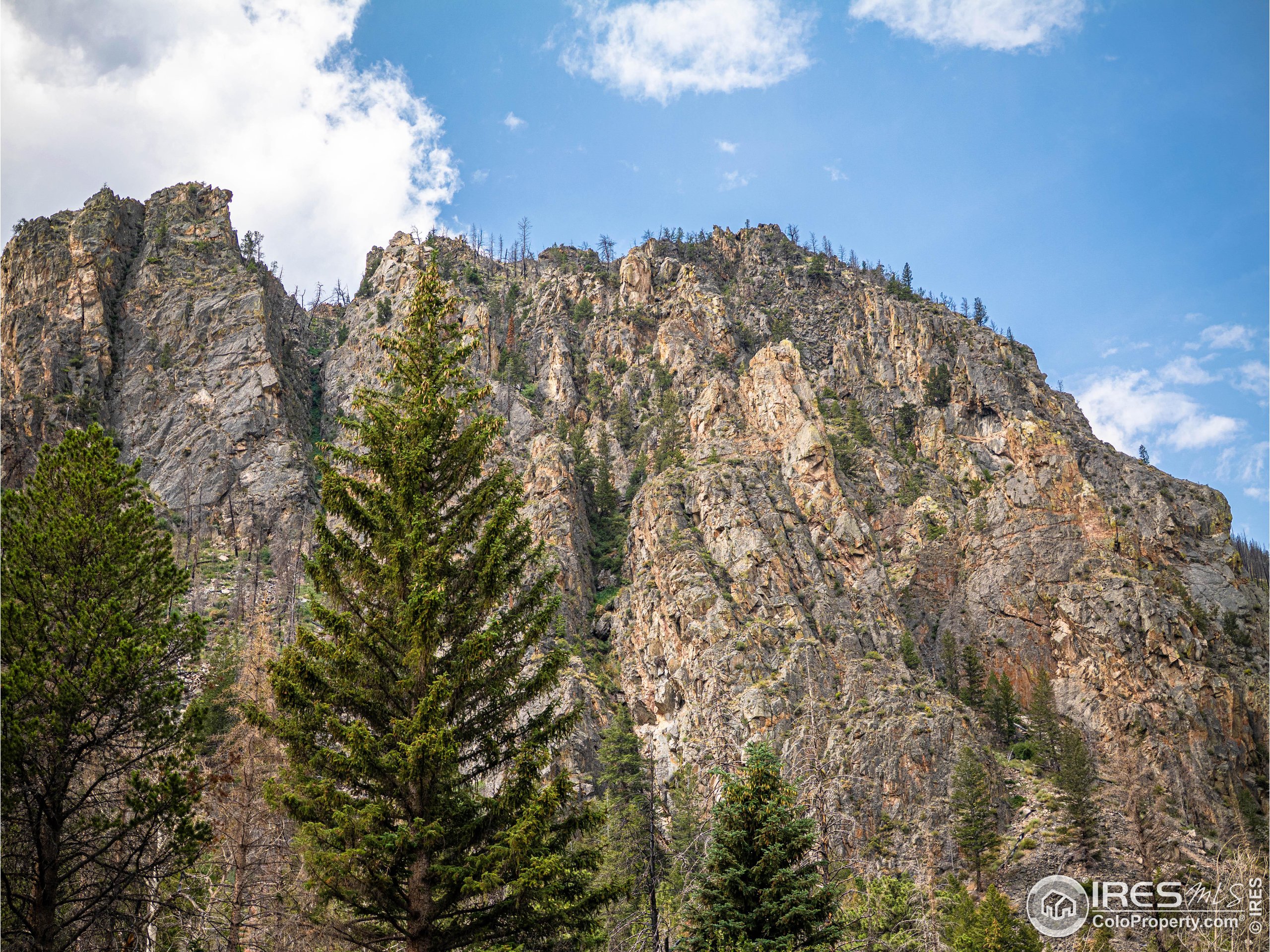 37797 W Highway Bellvue, CO 80512 - Photo 40 of 40 a view of a large building