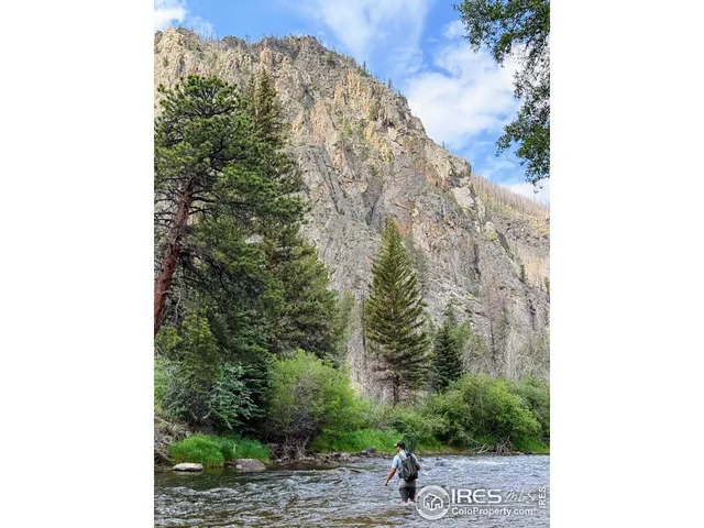 a view of a yard with plants and wooden fence