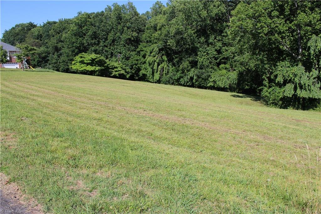 0 Mountain View Road, Unit TRACT A Pilot Mountain, NC 27041 - Photo 2 of 6 Gallery Image 2