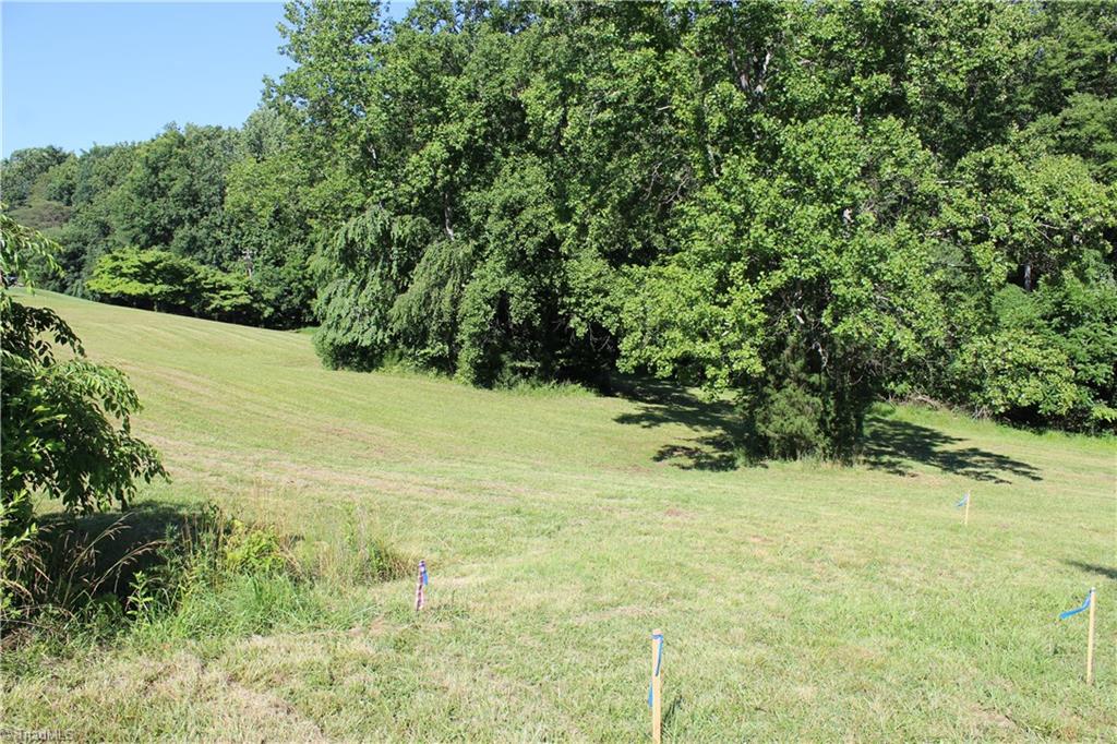 0 Mountain View Road, Unit TRACT A Pilot Mountain, NC 27041 - Photo 3 of 6 Gallery Image 3