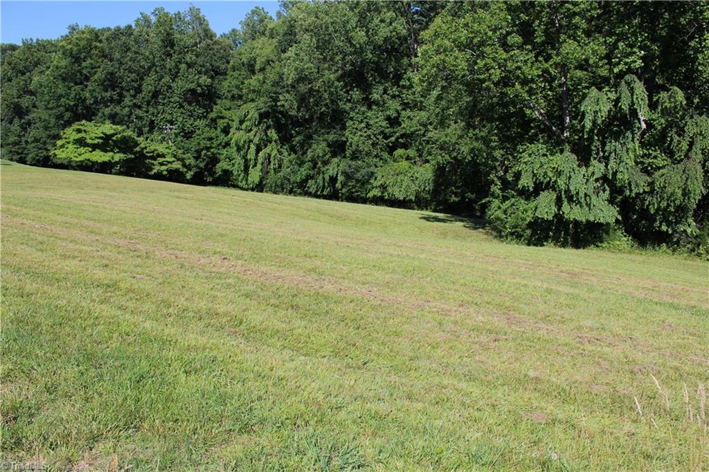 0 Mountain View Road, Unit TRACT A Pilot Mountain, NC 27041 - Photo 4 of 6 Gallery Image 4