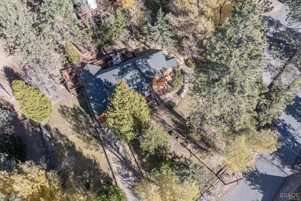 39654 Flicker Road Fawnskin, CA 92333 - Photo 3 of 33 Gallery Image 3