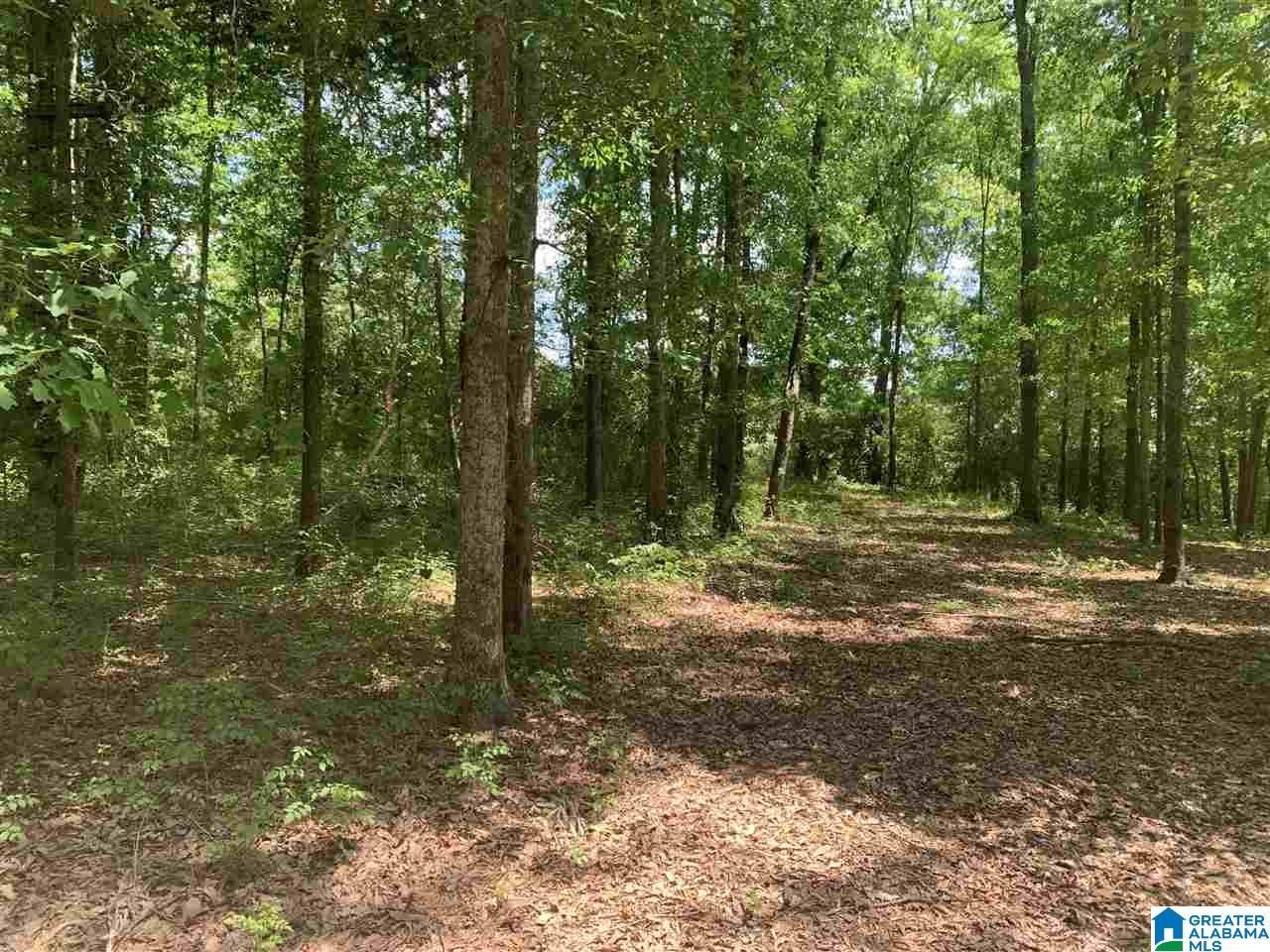 4 Highway 431, Unit 4 Heflin, AL 36264 - Photo 3 of 6