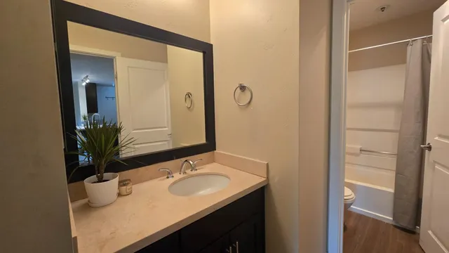 a bathroom with a sink and a mirror