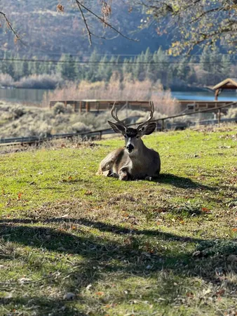 $439,000 | 402 Greenhorn Road, Yreka, CA 96097