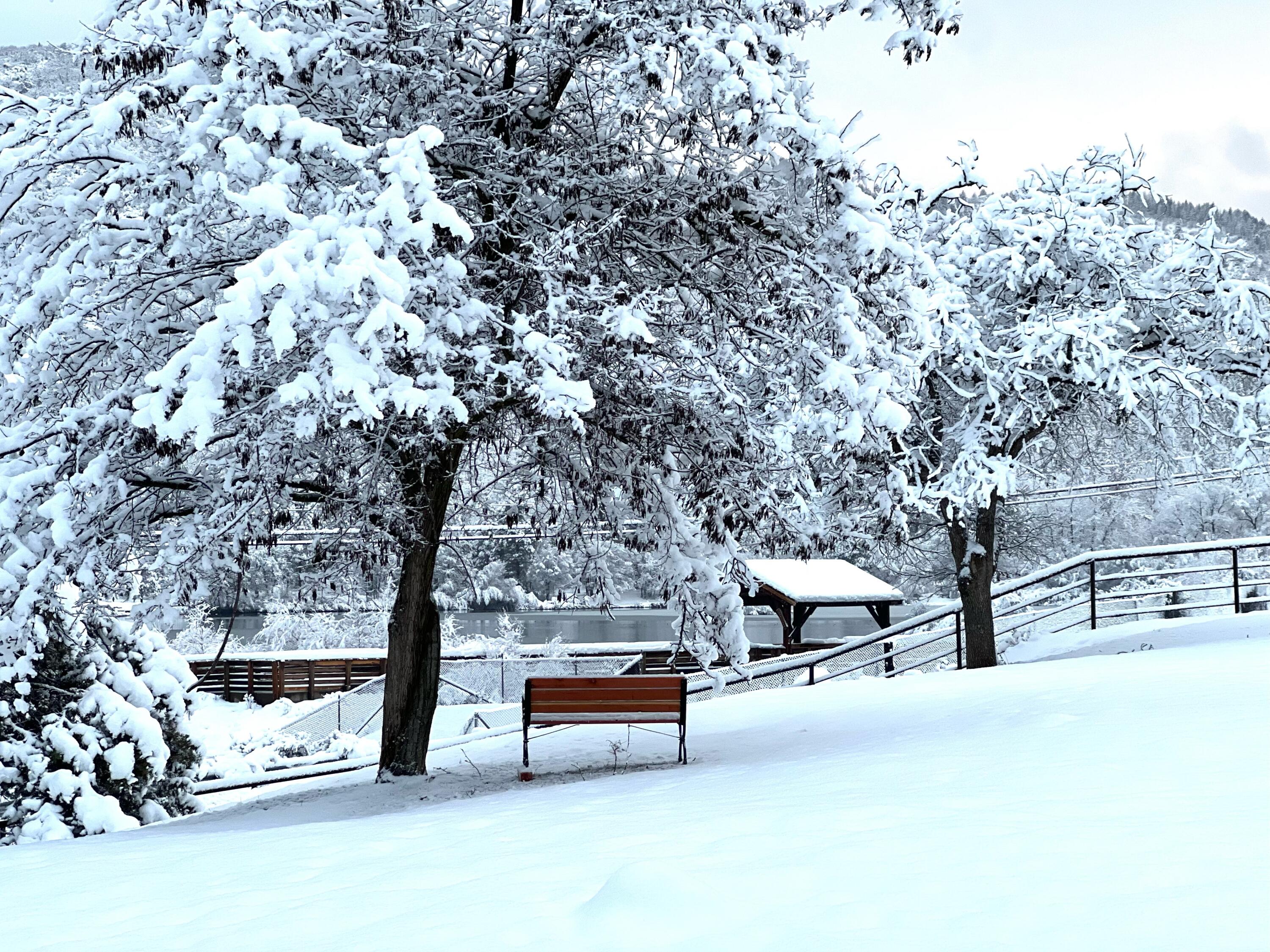 402 Greenhorn Road Yreka, CA 96097 - Photo 35 of 36 IMG_8338