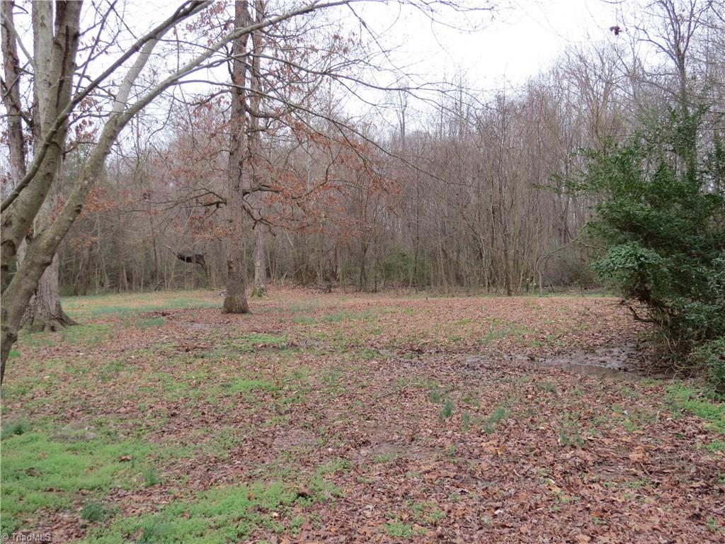 11181 Park Springs Road Ruffin, NC 27326 - Photo 5 of 21 Gallery Image 5