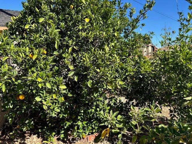 $3,350 | 10133 Kester Avenue, Mission Hills, CA 91345