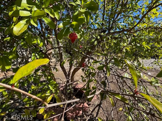 $3,350 | 10133 Kester Avenue, Mission Hills, CA 91345