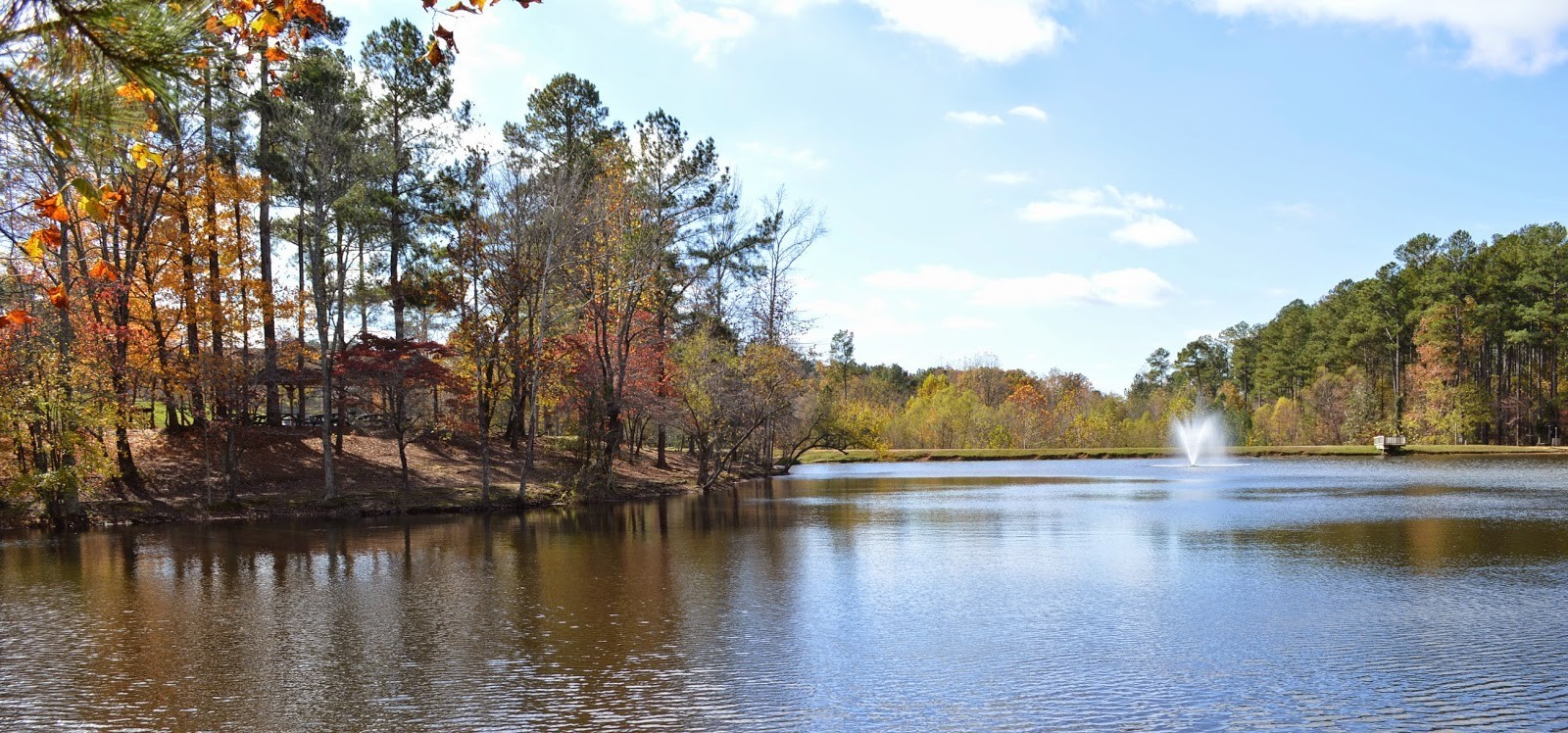 7194 Dice Lampley Road Fairview, TN 37062 - Photo 15 of 17 a view of lake