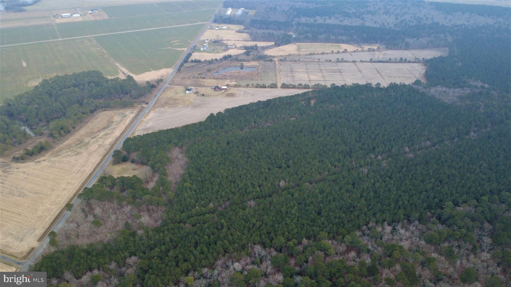 1829 Brannock Neck Road Cambridge, MD 21613 - Photo 12 of 55