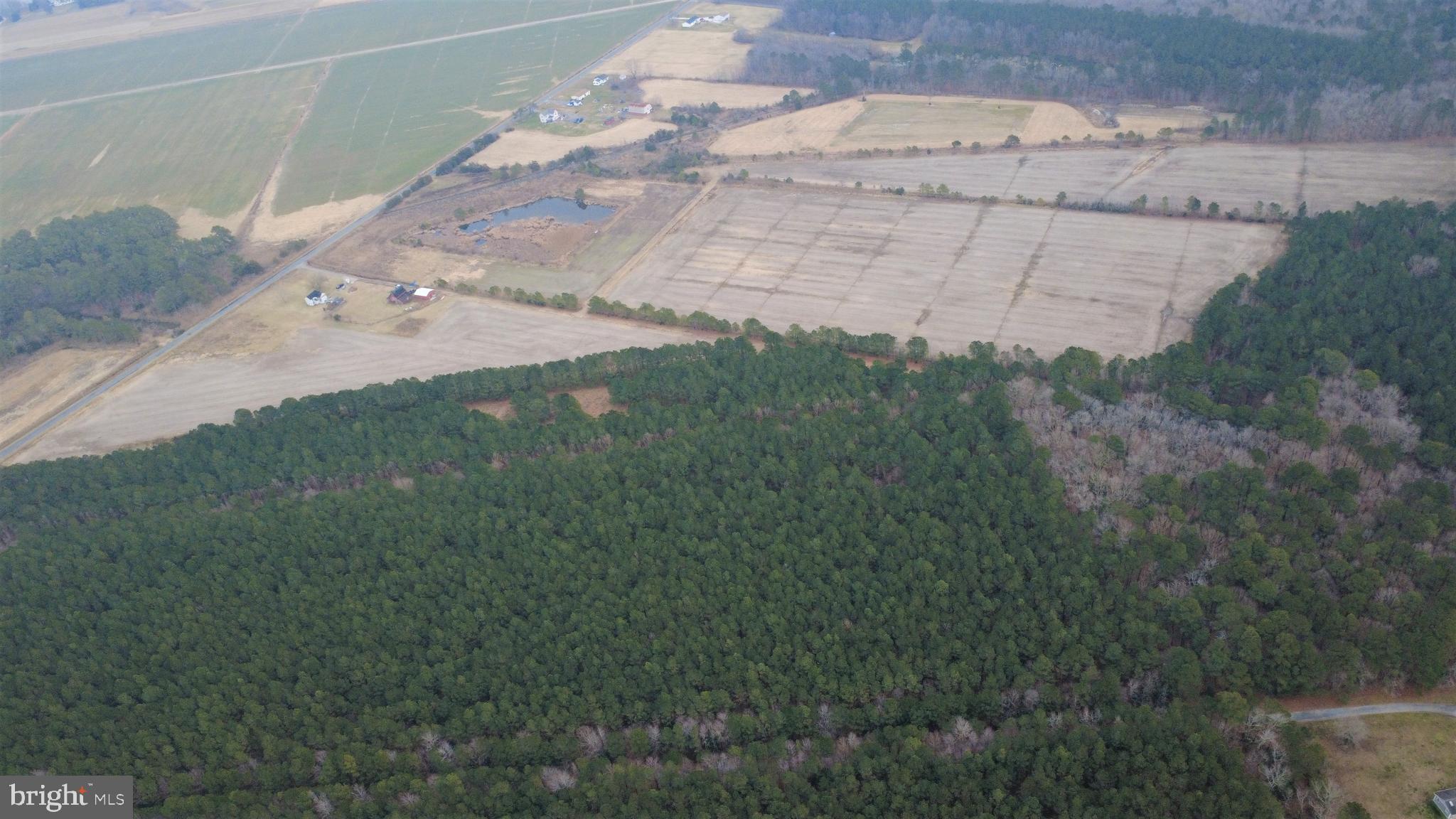 1829 Brannock Neck Road Cambridge, MD 21613 - Photo 13 of 55 a view of a dry yard