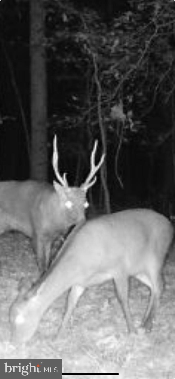 1829 Brannock Neck Road Cambridge, MD 21613 - Photo 15 of 55 a view of water heater