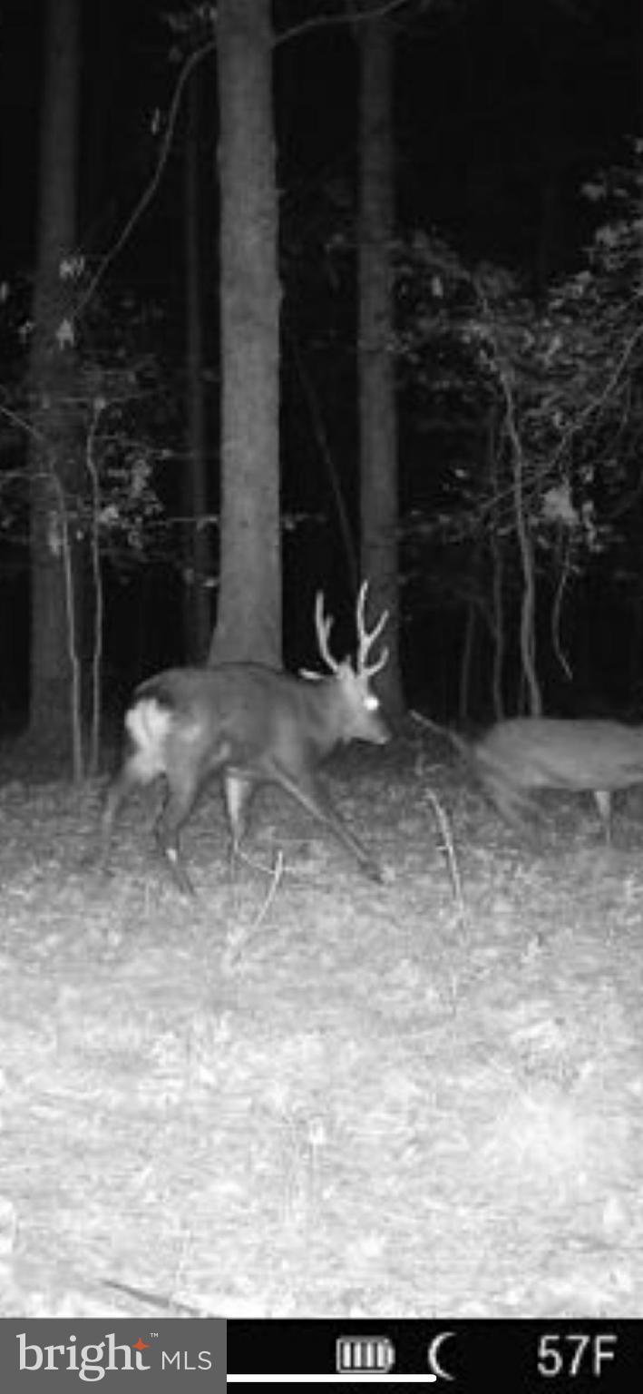 1829 Brannock Neck Road Cambridge, MD 21613 - Photo 16 of 55 a view of outdoor space