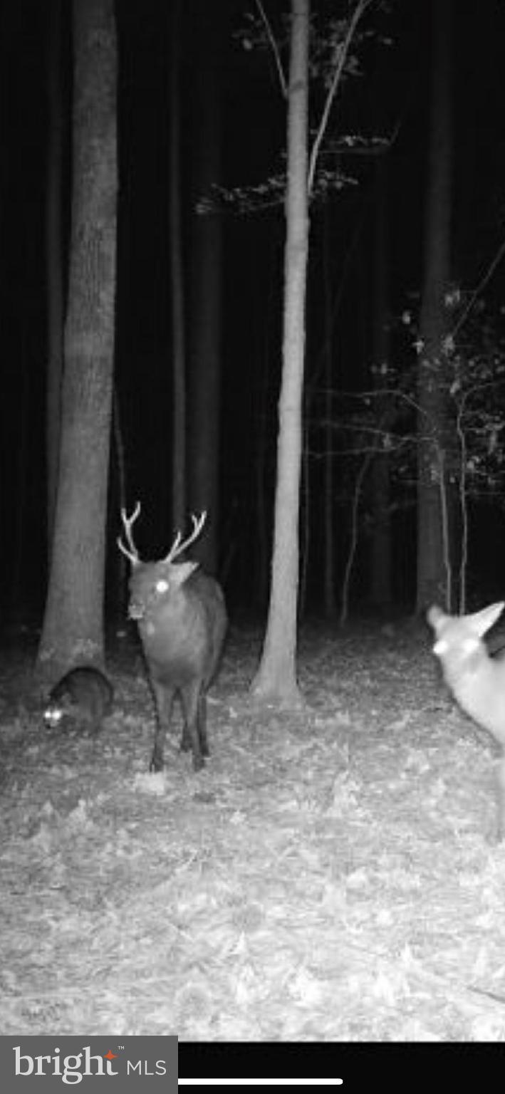 1829 Brannock Neck Road Cambridge, MD 21613 - Photo 17 of 55 a view of outdoor space and yard