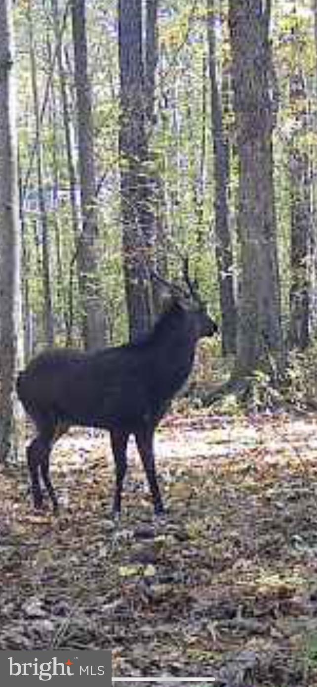 1829 Brannock Neck Road Cambridge, MD 21613 - Photo 18 of 55 a view of a large window