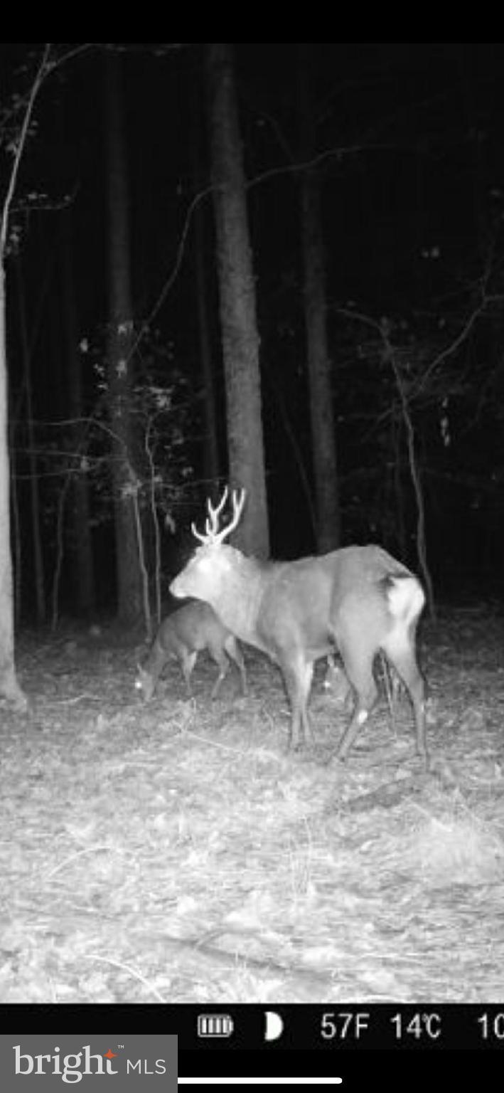 1829 Brannock Neck Road Cambridge, MD 21613 - Photo 20 of 55 a view of dining room