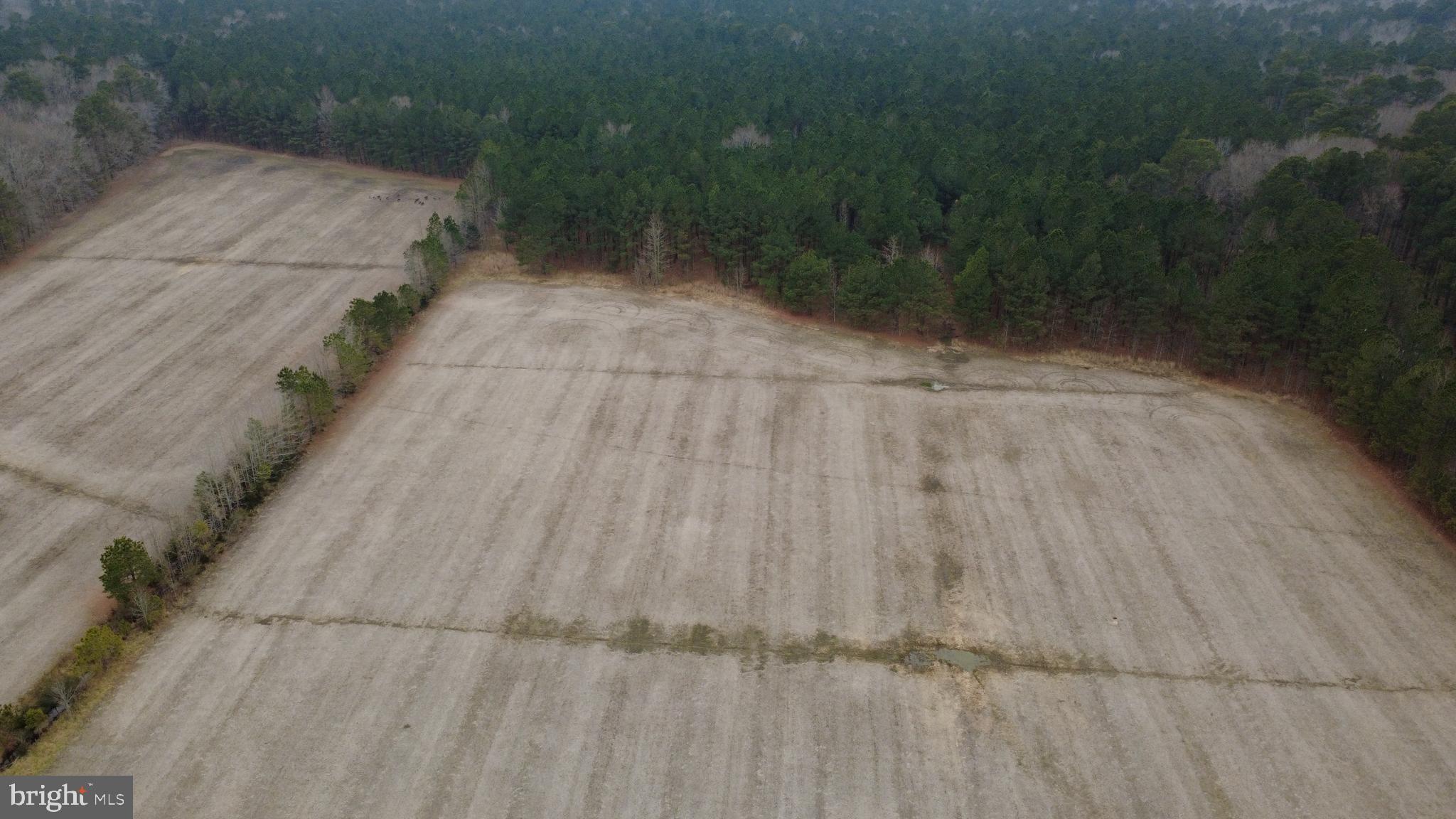 1829 Brannock Neck Road Cambridge, MD 21613 - Photo 23 of 55 a backyard of a house