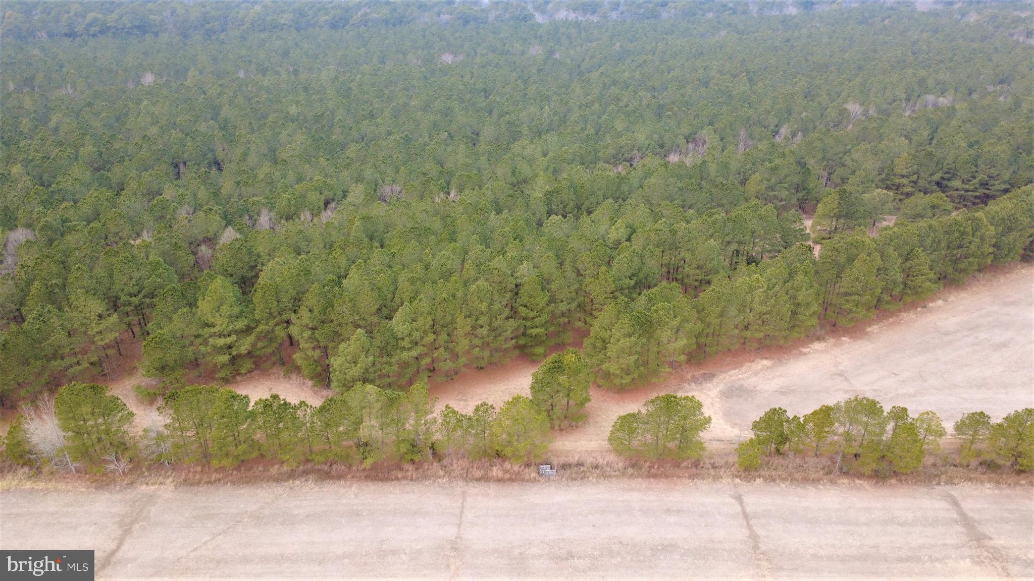 1829 Brannock Neck Road Cambridge, MD 21613 - Photo 33 of 55