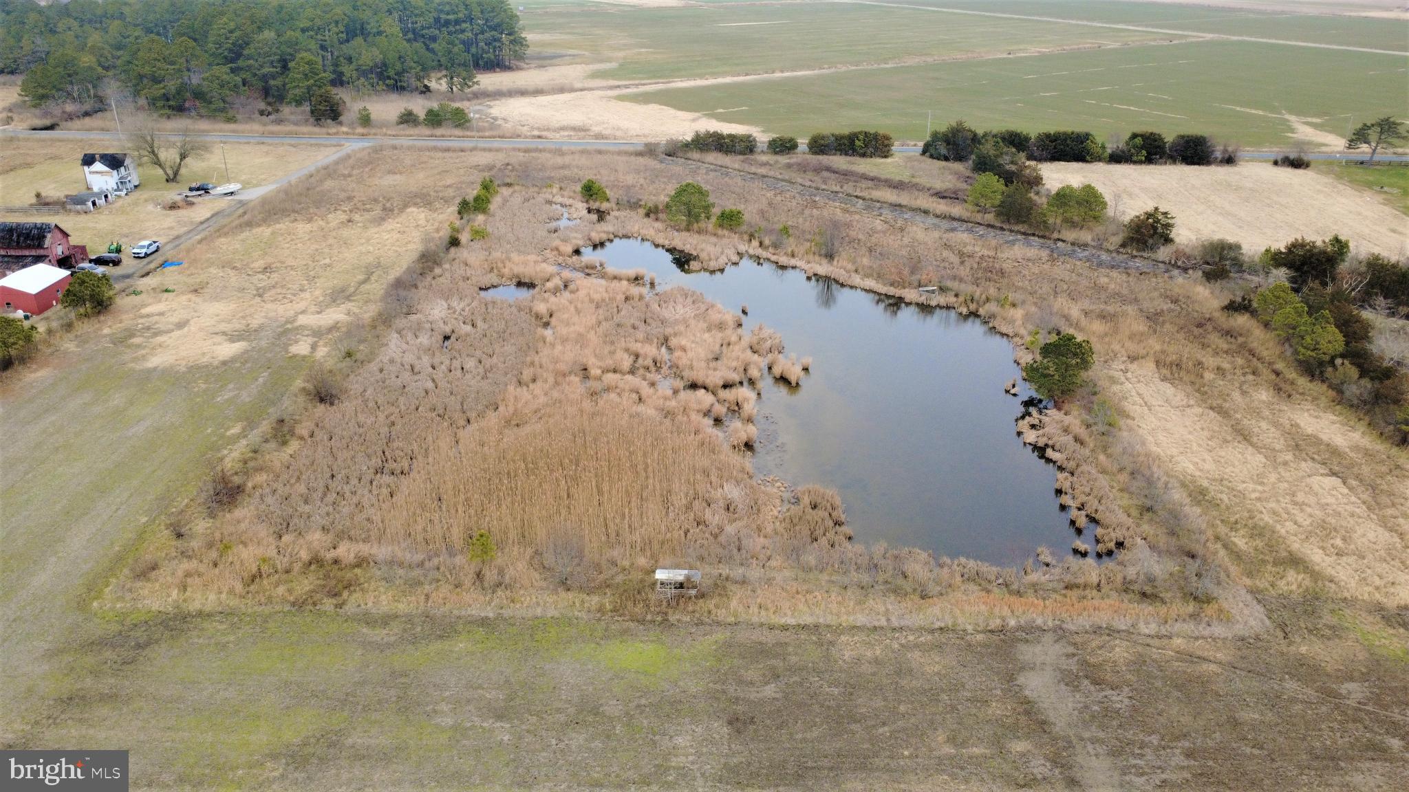 1829 Brannock Neck Road Cambridge, MD 21613 - Photo 35 of 55 a view of beach and ocean
