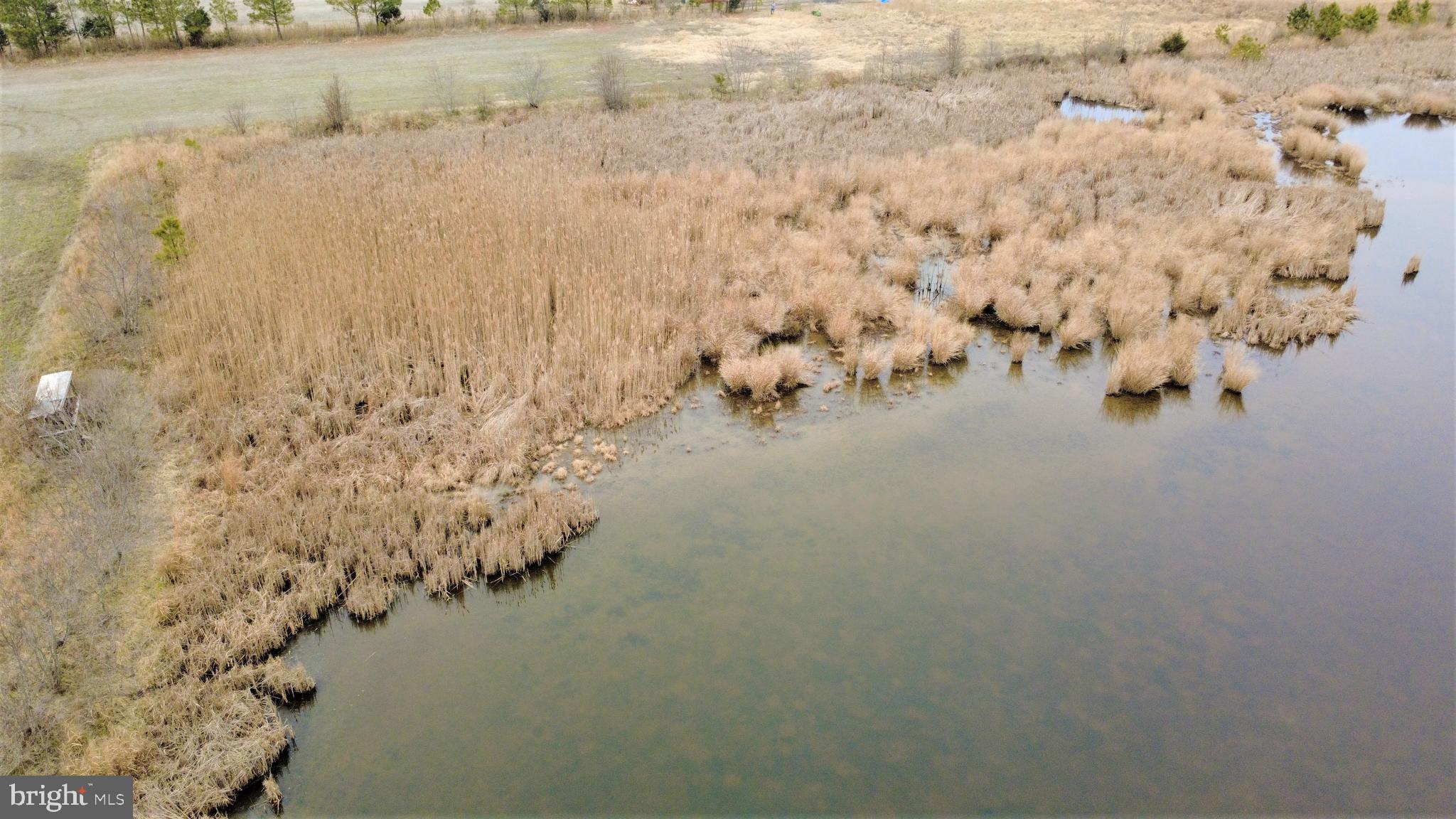 1829 Brannock Neck Road Cambridge, MD 21613 - Photo 37 of 55