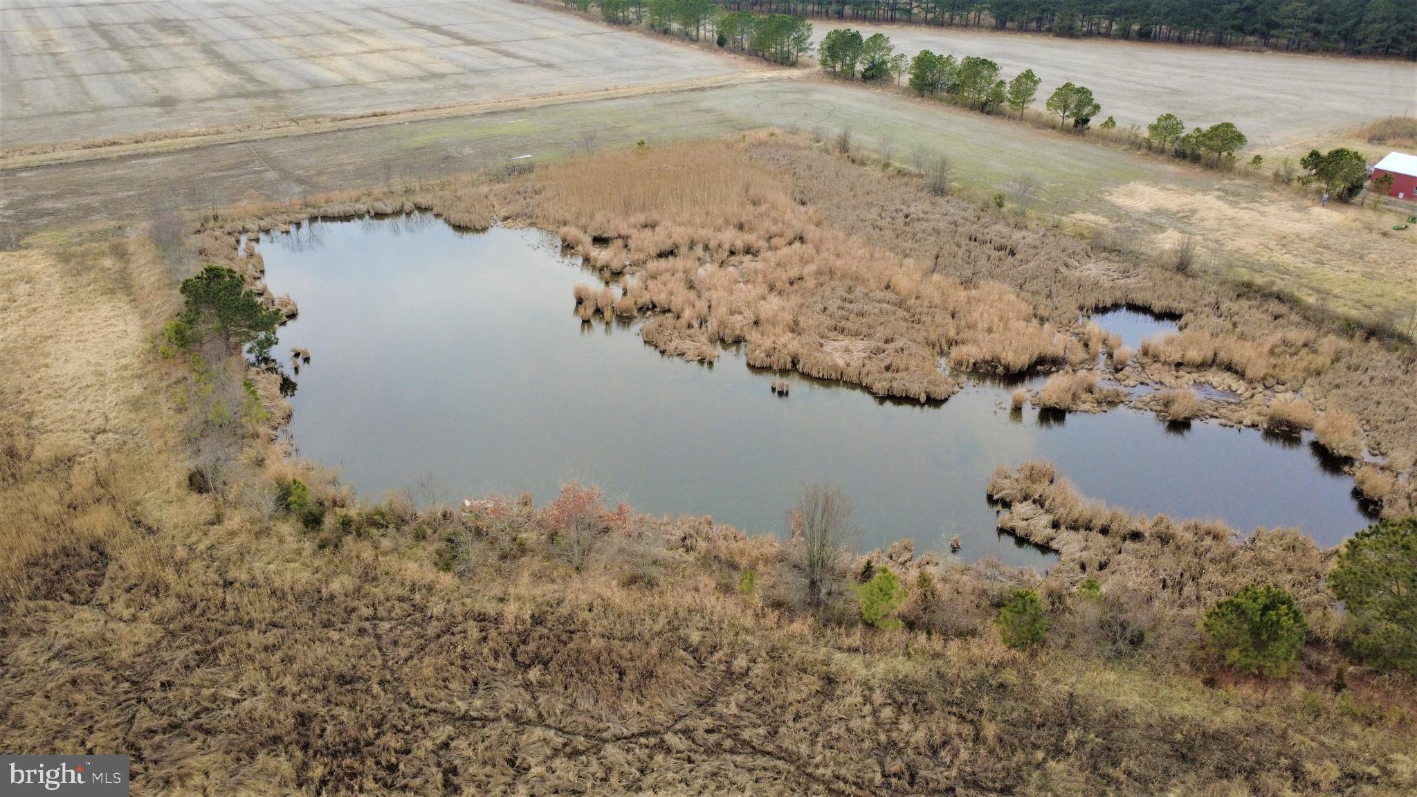 1829 Brannock Neck Road Cambridge, MD 21613 - Photo 38 of 55 a view of a lake