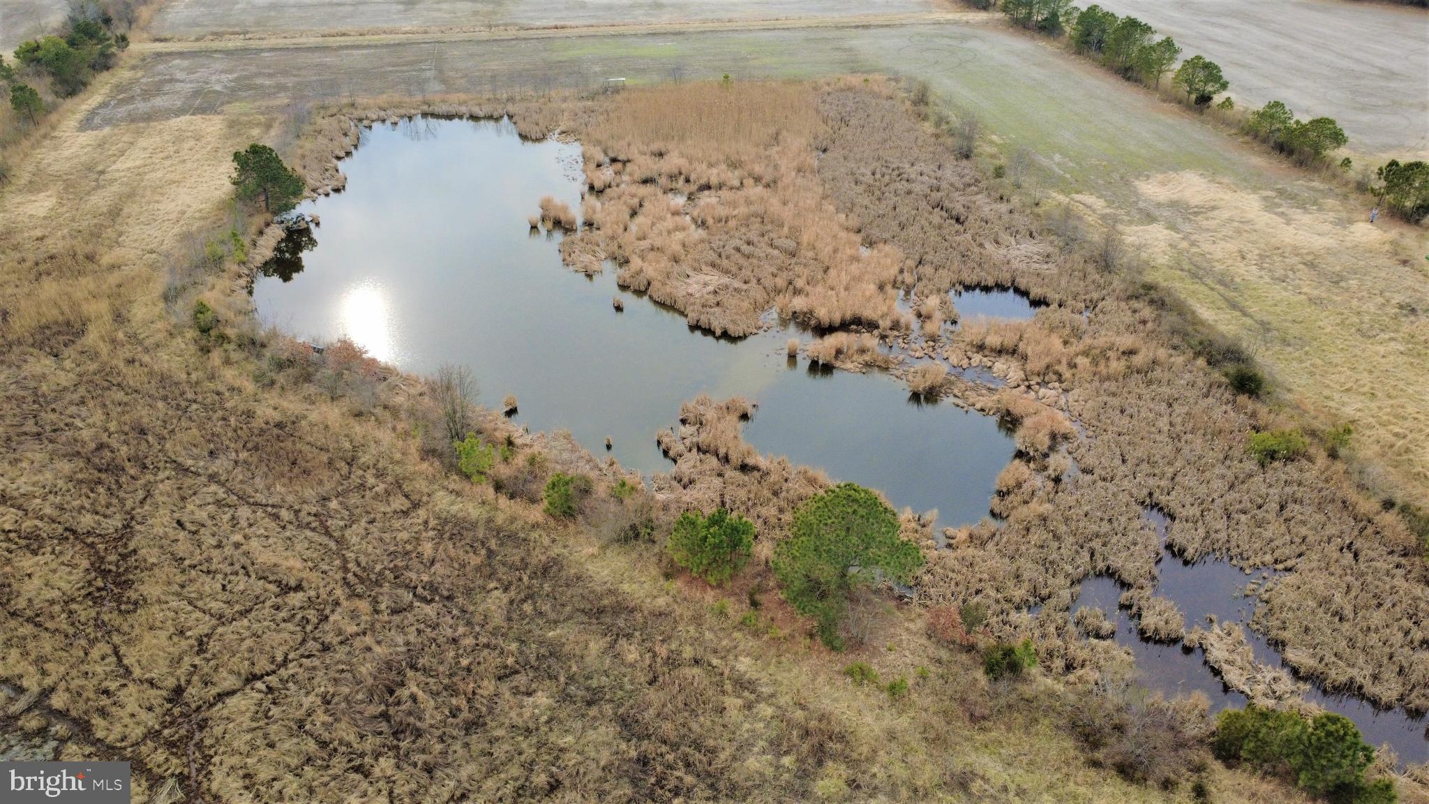 1829 Brannock Neck Road Cambridge, MD 21613 - Photo 39 of 55 a view of ocean view