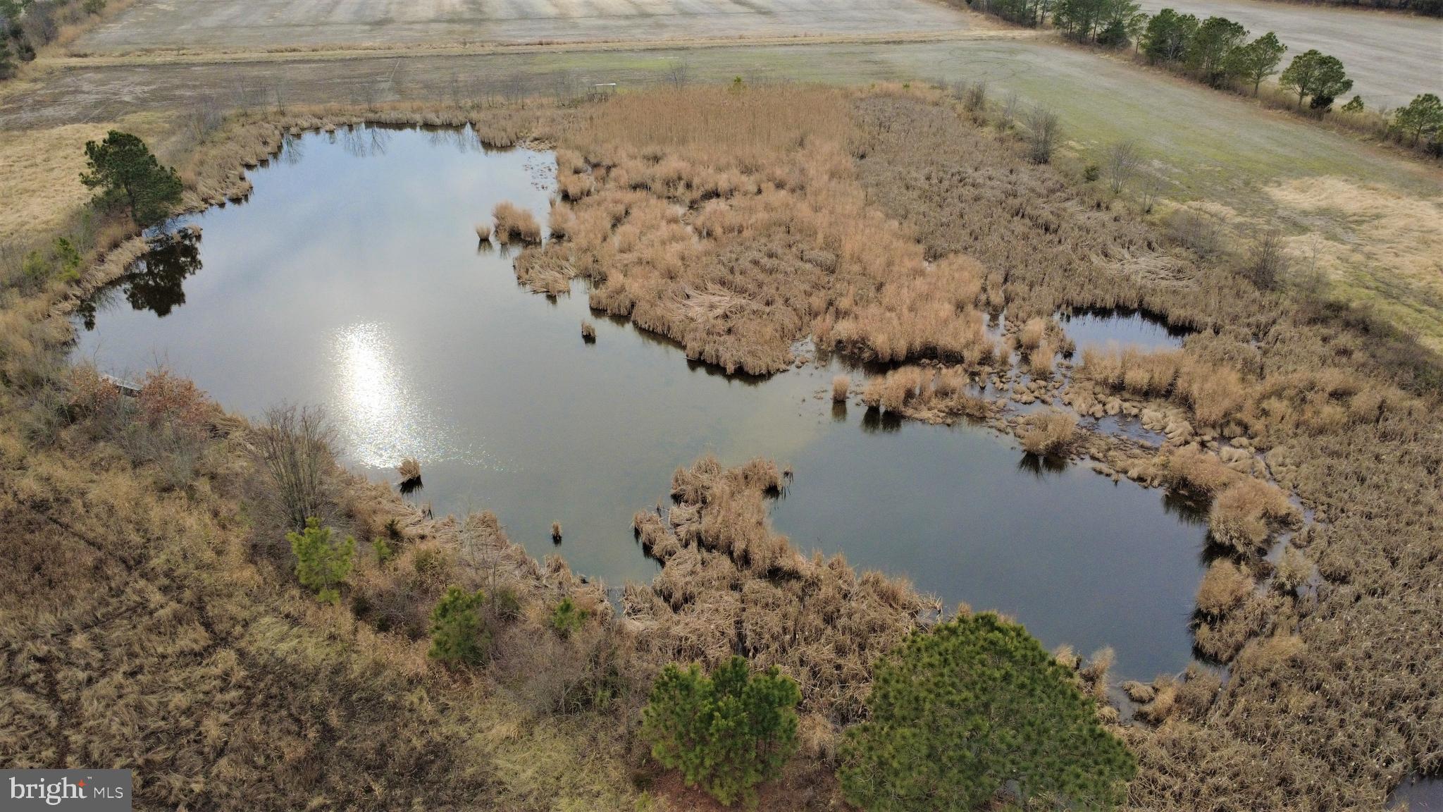 1829 Brannock Neck Road Cambridge, MD 21613 - Photo 40 of 55 an aerial view of a house with a yard