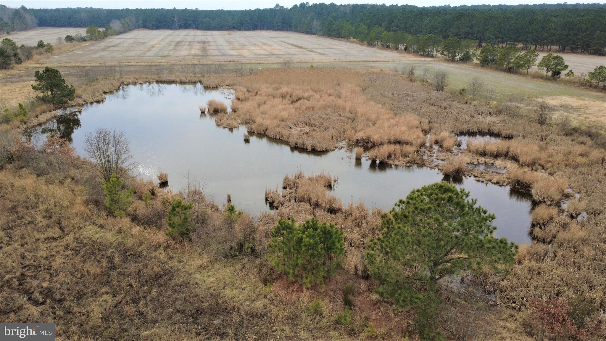 1829 Brannock Neck Road Cambridge, MD 21613 - Photo 41 of 55 a view of lake