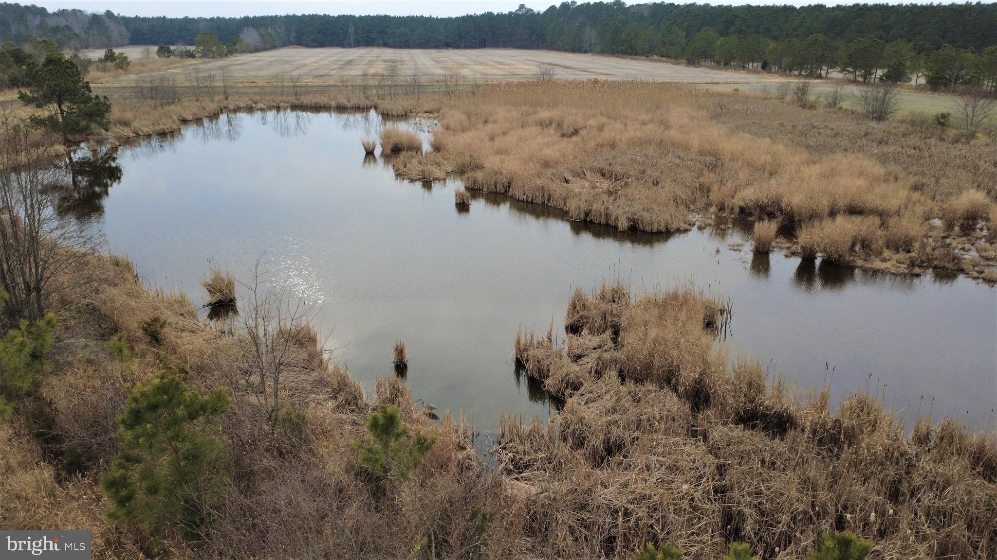 1829 Brannock Neck Road Cambridge, MD 21613 - Photo 42 of 55