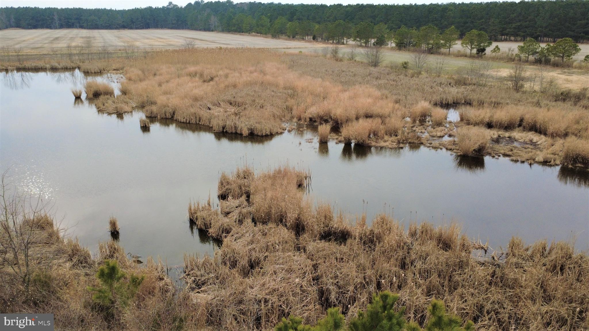 1829 Brannock Neck Road Cambridge, MD 21613 - Photo 43 of 55